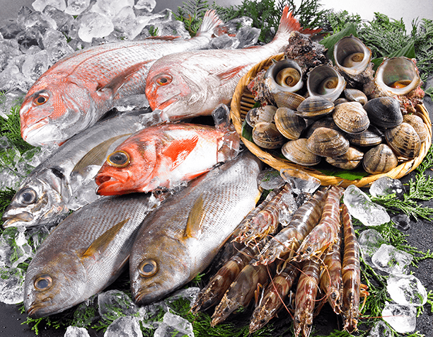 有限会社ショッピングのだ